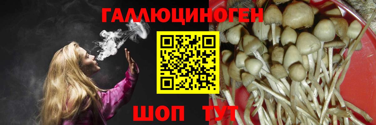 Галлюциногенные грибы Cubensis Скопин